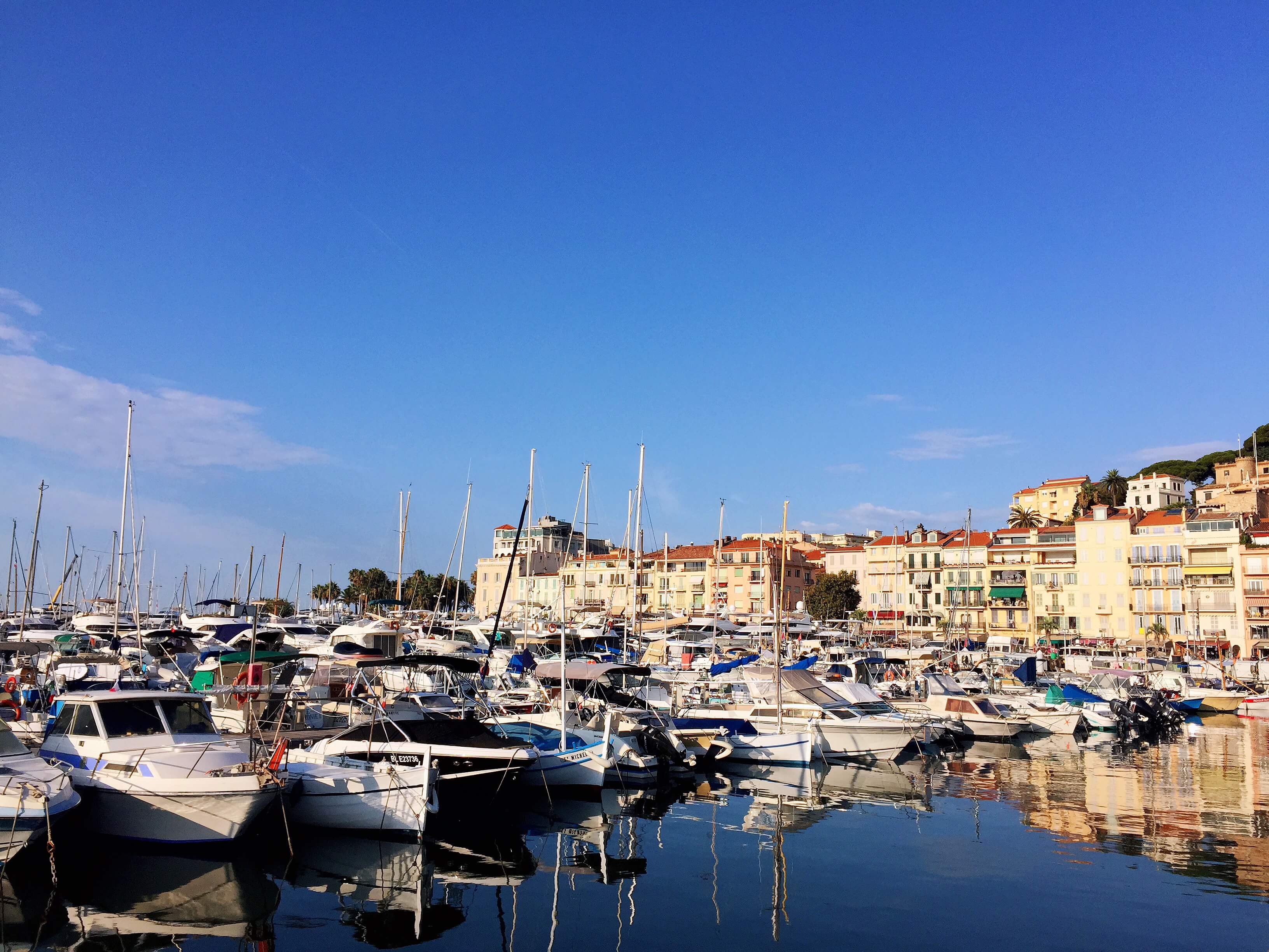 1679926755144076269.jpg 1679926755144076269.jpg